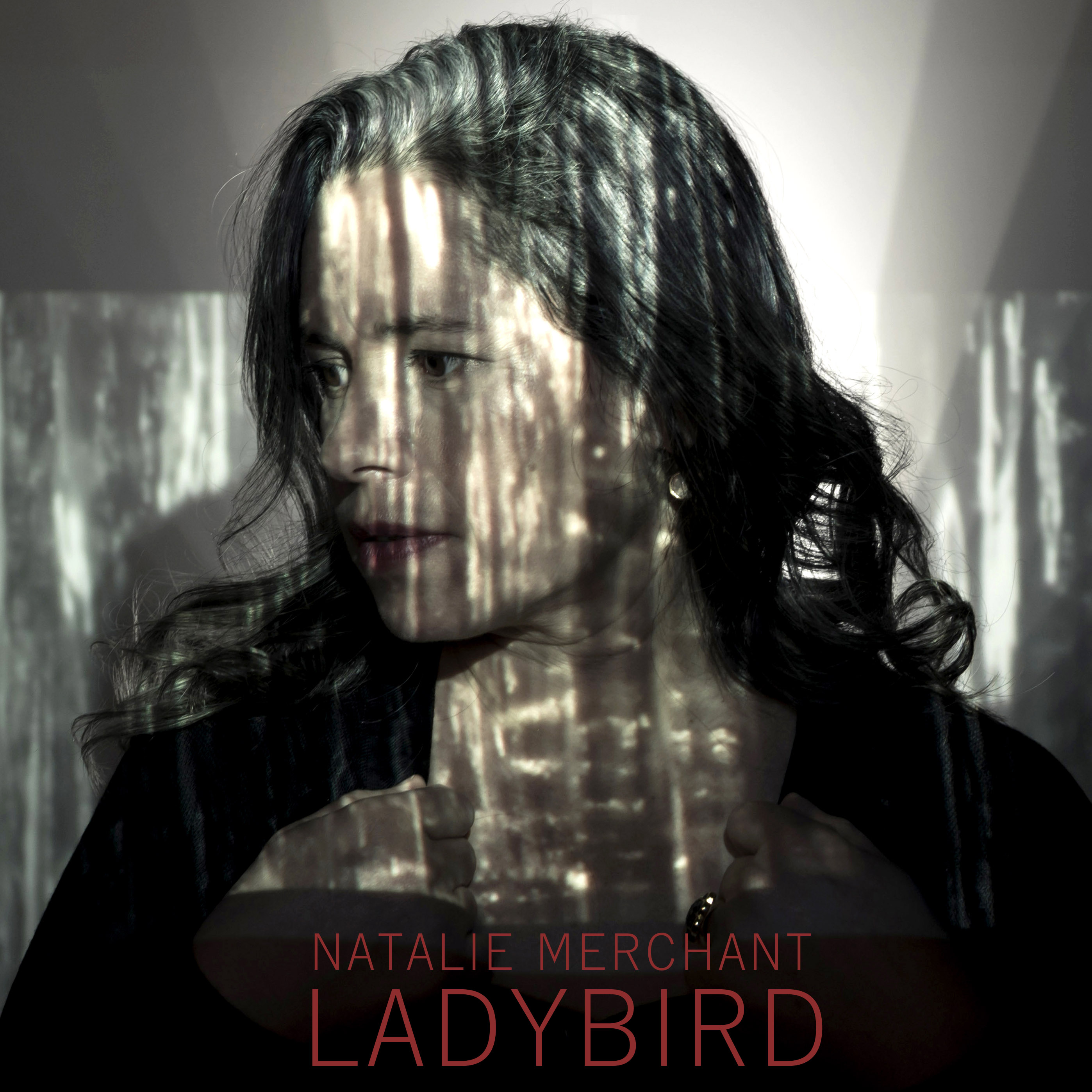 Ladybird (Single)