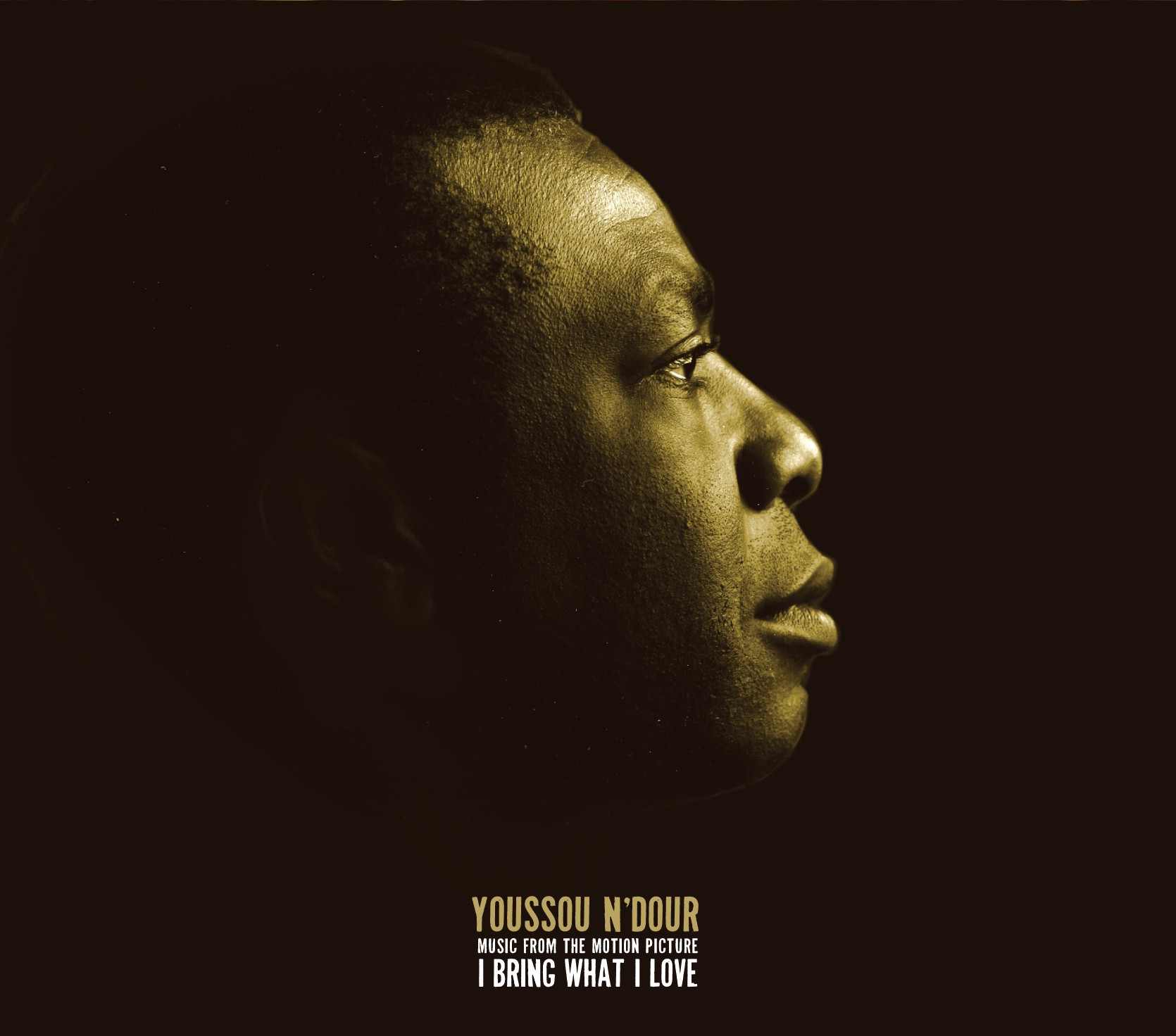 Music From The Motion Picture I Bring What I Love