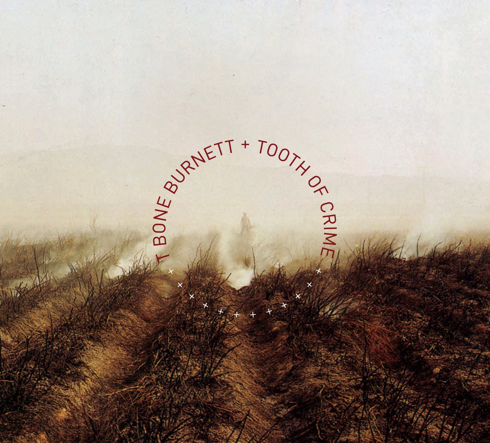 Tooth of Crime