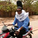 Bombino
